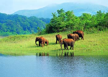 Periyar, Kerala